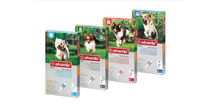 Advantix pour chien Bastia