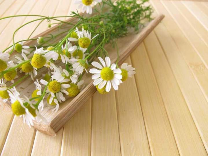 Aromathérapie Parapharmacie Bastia