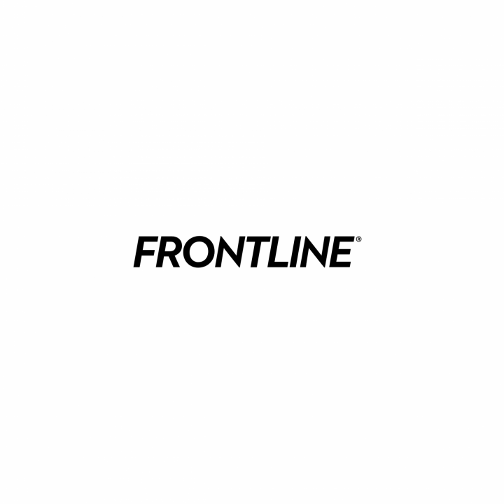 Logo Frontline