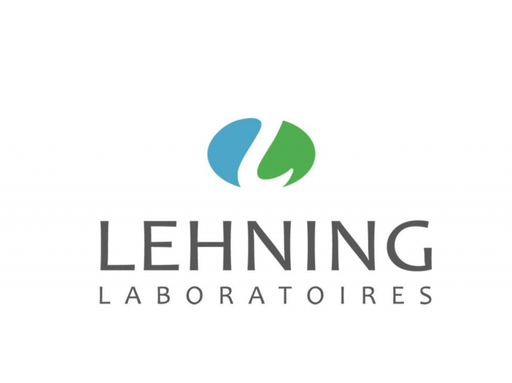 Logo Lehning