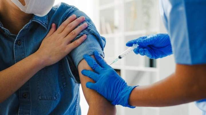 Vaccination, Borgo