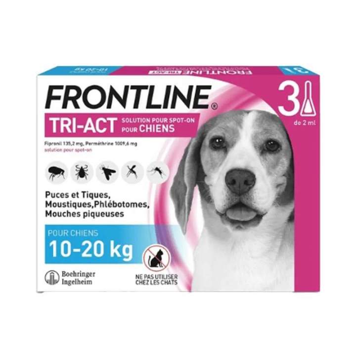 frontline